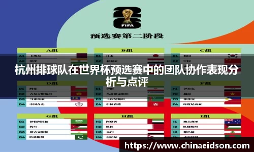 杭州排球队在世界杯预选赛中的团队协作表现分析与点评